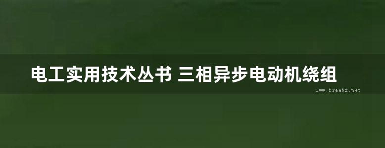 电工实用技术丛书 三相异步电动机绕组图册